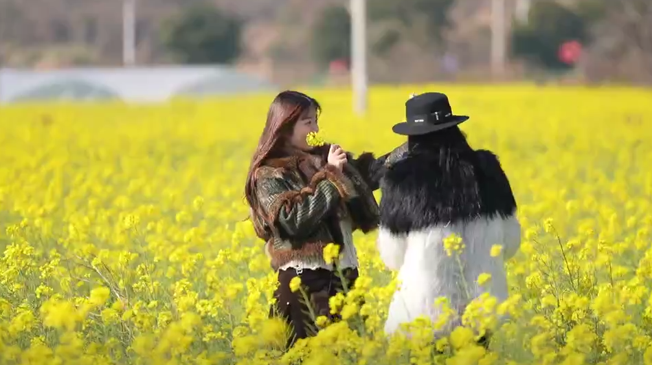 营业” 赏花游激活文旅“小阳春”开元ky棋牌浙江冬日花海“提前(图2)