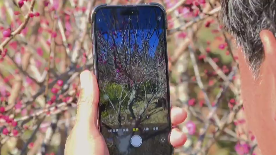 营业” 赏花游激活文旅“小阳春”开元ky棋牌浙江冬日花海“提前(图5)