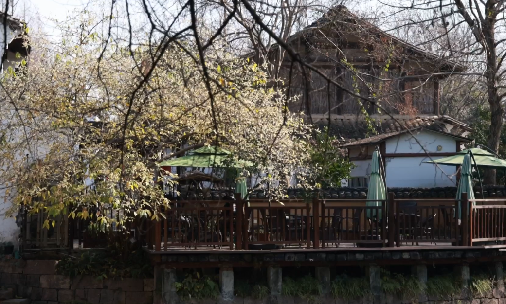 营业” 赏花游激活文旅“小阳春”开元ky棋牌浙江冬日花海“提前(图10)