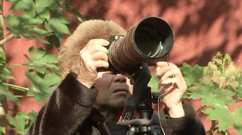 营业” 赏花游激活文旅“小阳春”开元ky棋牌浙江冬日花海“提前(图15)