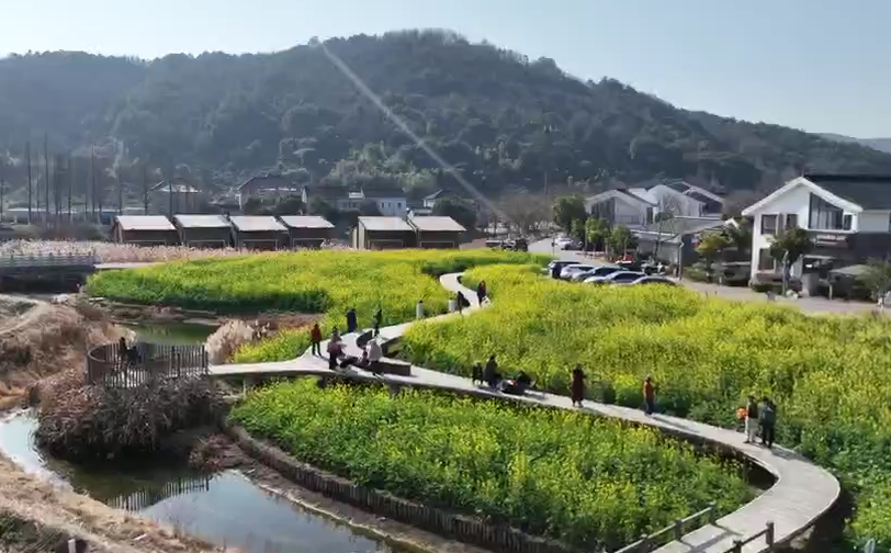 营业” 赏花游激活文旅“小阳春”开元ky棋牌浙江冬日花海“提前(图12)